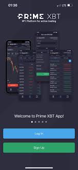 Empowering Success with Team Primexbt